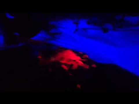 Amplidudez @SMS X8 Triebton Bootcamp #3