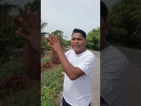 Nuevo proyecto en cicuco bolívar 