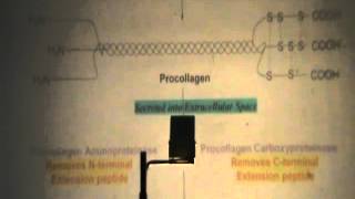 Dr.Rasheed [Protiens] 15/12/2013