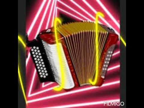 El soñador los reyes del vallenato (vallenato parrandero)