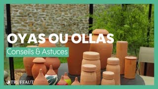 Oyas ou ollas : comment arroser avec moins d'eau