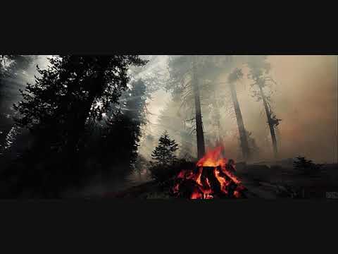 BANIOTLETYKA - WEWNĘTRZNY OGRÓD | prod. EST