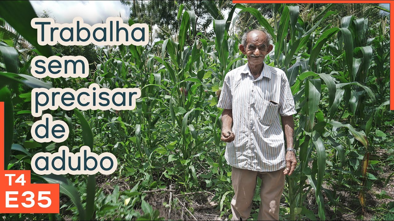 O "Agro Tech" não entende, mas seu Zé entendeu (e dá aula)