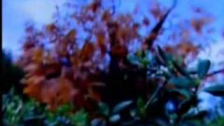 Download lagu 月光 yue guang MV Eng Subbed (Hu Ge) mp3