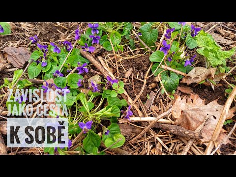 Závislost jako cesta k sobě