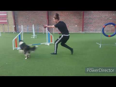 Flicka - Learning backside send ⭐