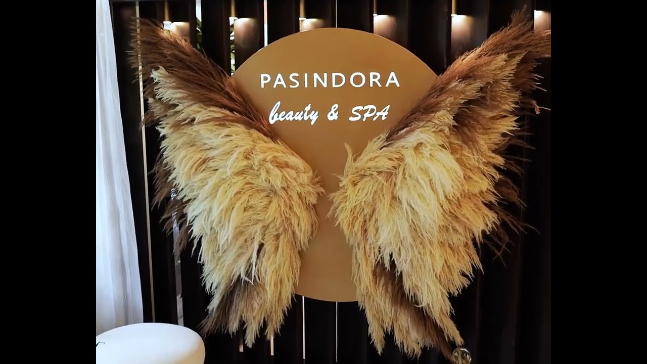 Pasindora SPA presentation video