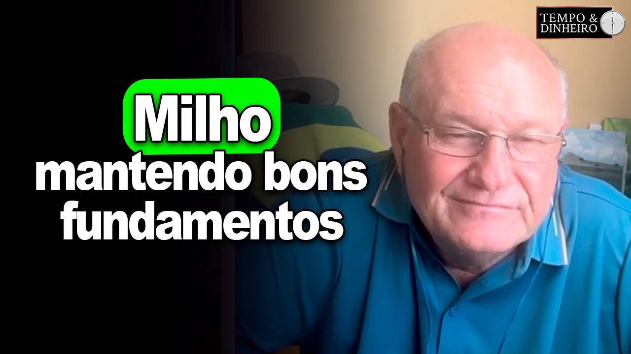 Milho mantendo bons fundamentos, analisa Brandalizze