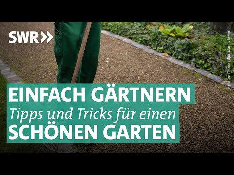 Schmerzen in den Halslymphknoten Linderung von Rückenschmerzen während der Schwangerschaft