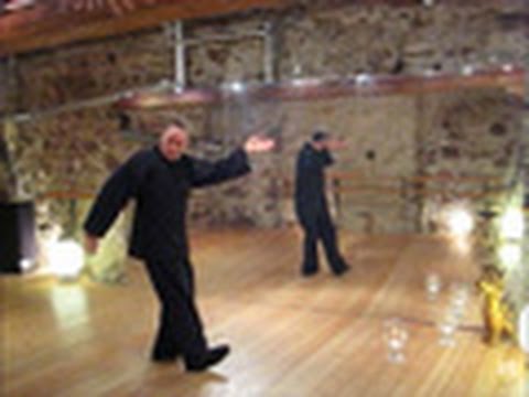 Taiji Qigong Shibashi 2. Set, Qigong Baden-Baden