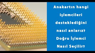 Anakartın hangi işlemcileri desteklediğini nasıl anlarız? Doğru İşlemci Nasıl Seçilir?