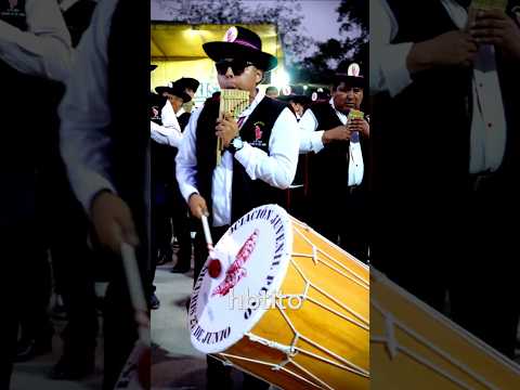 Sikuris AJP Sikuris 27 de Junio #sikuris #conima #huancane #puno