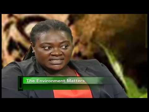 The Environmental Matters April 2019