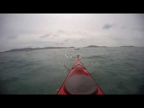 Sea kayaking with dolphins in the Sound of Barra, Outer Hebrides