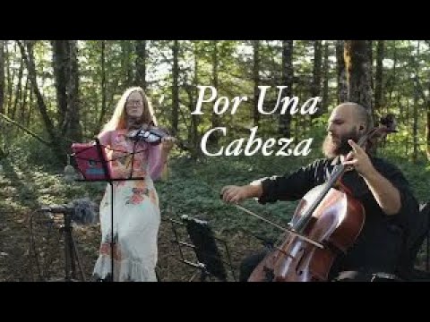 Promotional video thumbnail 14 for Lepard String Duo