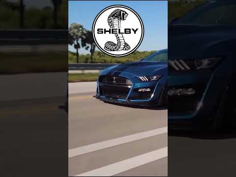 "Exclusive First Look at the 2025 Shelby GT500 Ultimate!"