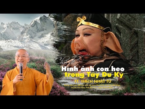 Hình ảnh con heo trong Tây Du Ký - TT. Thích Nhật Từ 