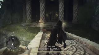 大物狩りが楽しくなってきた！ドラゴンズドグマ２(実況)PS5配信＃１３