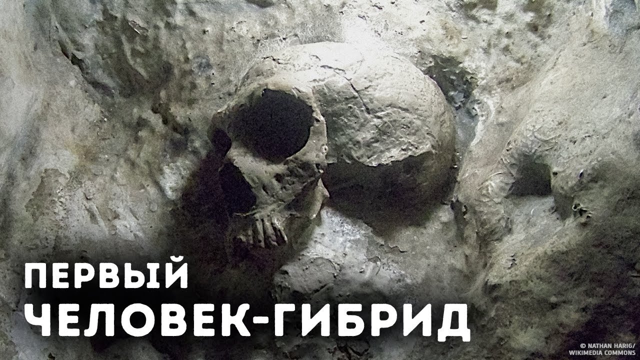 Ученые обнаружили доказательства смешения видов человека