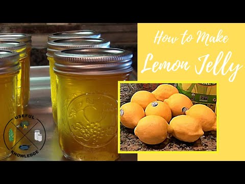 Lemon Jelly | Useful Knowledge