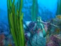 SAMMY S ADVENTURE THE SECRET PASSAGE 3D Trailer
