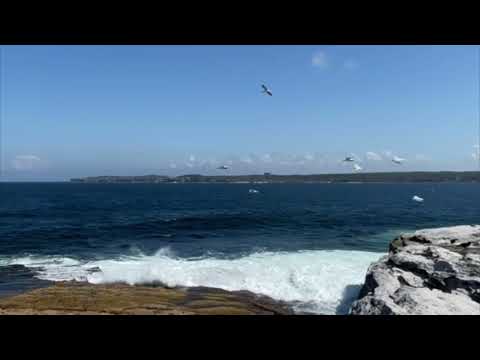 Vista de Botany Bay do banco Caps