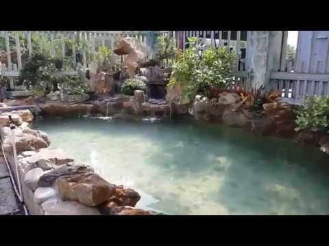 Làm Hòn No Bộ Thác Nước Hồ Cá Koi Đơn Giản Tại Nhà