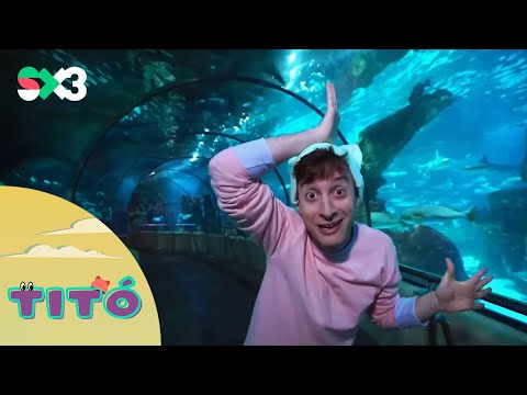 Excursió amb peixos | Titó