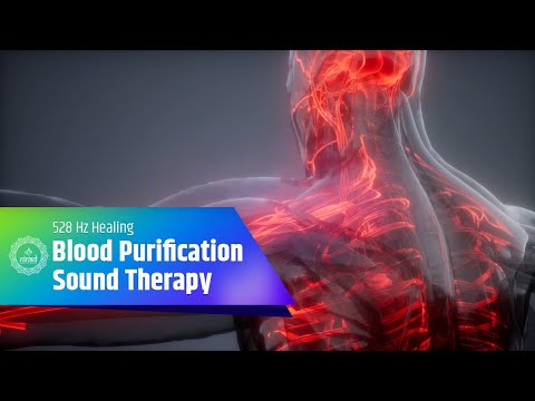 Blood Purification Sound Therapy | 528 Hz Healing Frequency for Circulatory Health