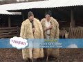 Varu Sandel Si Puiu Codreanu Ciobanitul