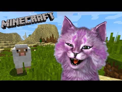 ИГРАЮ В МАЙНКРАФТ, ПОКА ЛЕО СПИТ! КОШКА ЛАНА УЧЕНИЦА ШКОЛЫ НУБОВ MINECRAFT