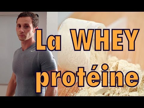 pourquoi prendre de la whey proteine
