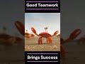 Teamwork 3 Good Teamwork Success Life Lessons Inspirational Video