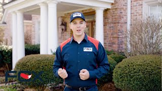 How To Get Rid Of Box Elder Bugs | Fox Pest Control