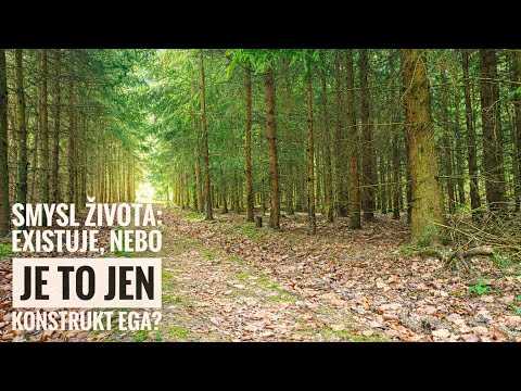 Smysl života: realita nebo iluze ega?