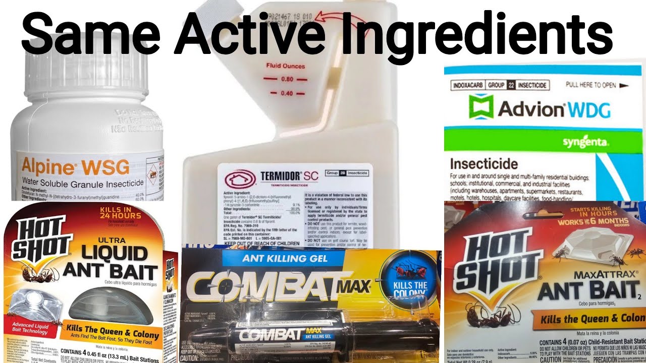 Controlling Ants Inside During Winter.