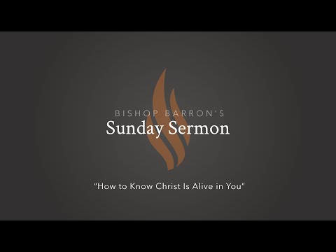 How to Know Christ Is Alive in You — Bishop Barron’s Sunday Sermon
