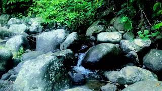 Can 10 Minutes of Soothing River Sounds Replace Your Sleep Meds