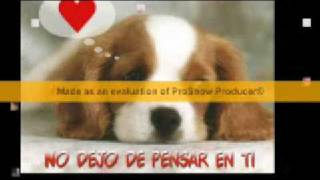 Donde QUiera Que Estes   Intocable