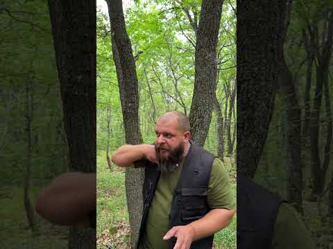 Что делать если вам вцепилось в горло животное