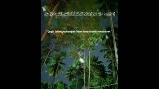 Download lagu Story' wa (surah Yusuf :4) #shorts mp3 Download lagu Story' wa (surah Yusuf :4) #shorts mp3