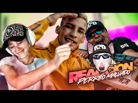 REACCIÓN DAMAS GRATIS - PERRITO MALVADO Ft. L-GANTE & MARITA