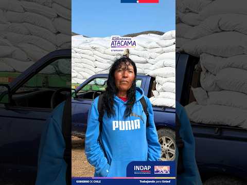 Seguimos apoyando a las familias crianceras de Freirina tras las recientes lluvias. 🐐🌿