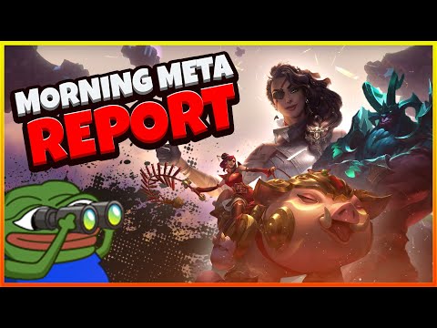 11.6 Morning Meta Report, Fortune 20/20