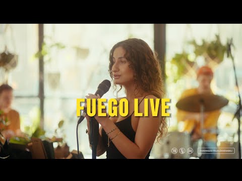 BRENKA - FUEGO LIVE