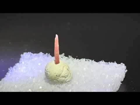 Minerals #698: Quartz, Red, San Felipe, La Libertad, Peru. 東京国際ミネラル秋のフェア. 2025.10. 6.