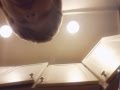 Yo Mommas Feet Does Bean Boozled Challenge