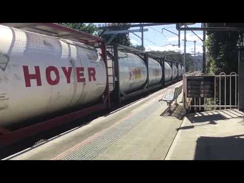 Point clare train spotting