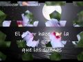 me enamore - chichi peralta.wmv