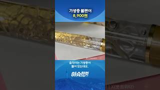 기생충 볼펜이 8,900원 [이슈한컷] #shorts / YTN